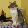 Отзыв от Зоя Галкина
